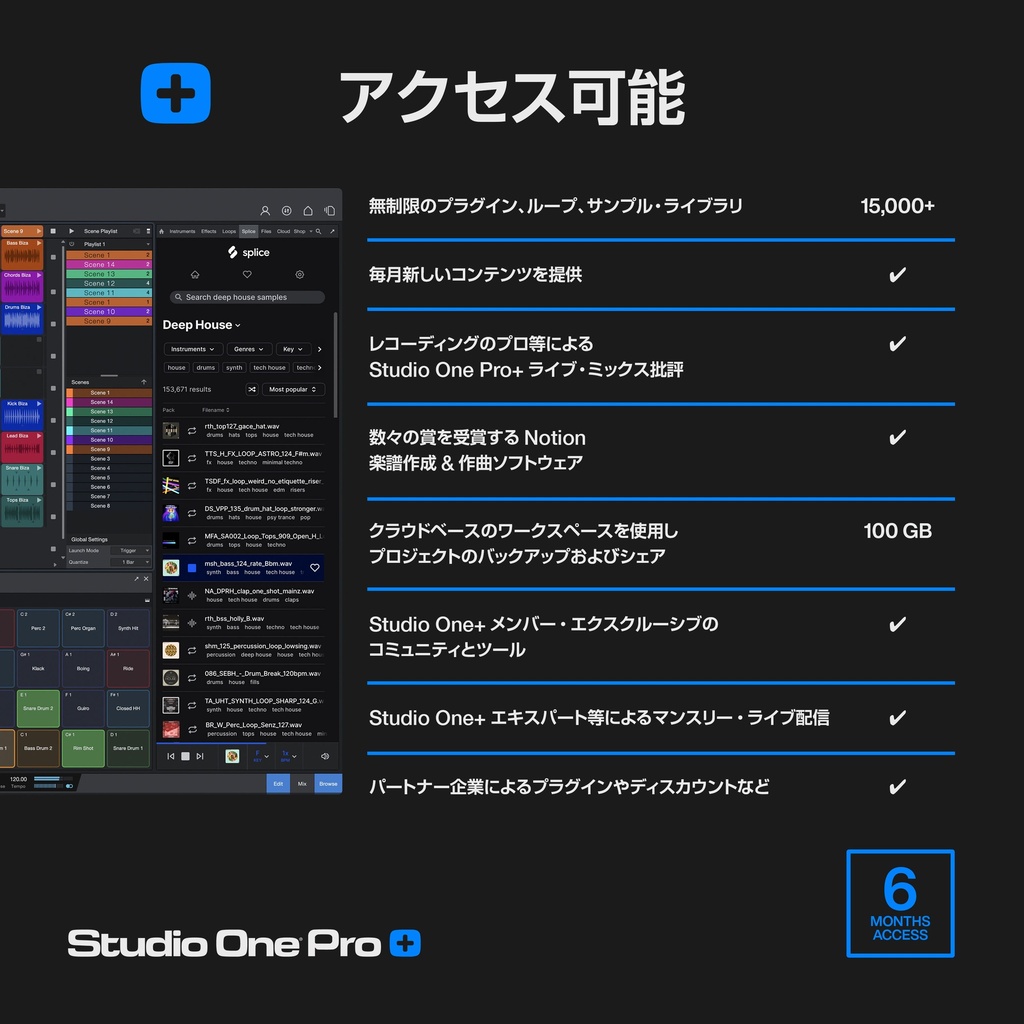 Studio One Pro+ 6 MONTH